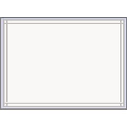 LPS Industries PQ-100BL Pres-Quick Packing List Envelopes- 10 x 12 Inch 